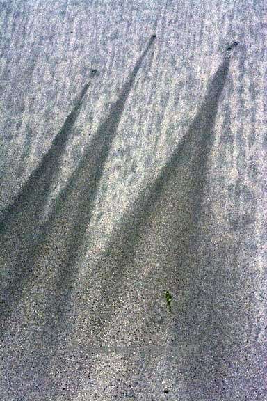 pebbles and sand 3736 2 graphic